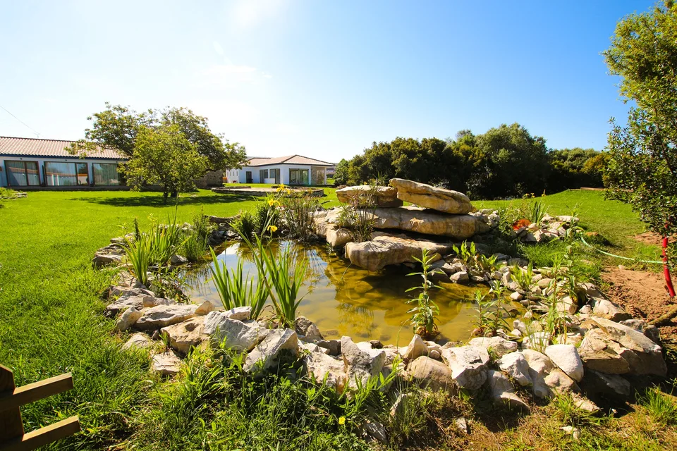 the lake and gardens at Terra Raiz